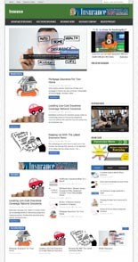 Insurance Niche Blog Personal Use Template