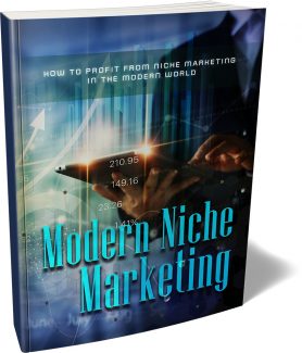 Modern Niche Marketing MRR Ebook