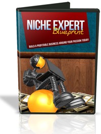 Niche Expert Blueprint MRR Video