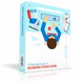 Practical Guide To Working From Home Personal Use Ebook