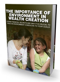The Importance Of Environment In Wealth Creation MRR Ebook