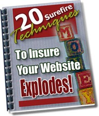 20 Surefire Techniques To Insure Your Website Explodes PLR Ebook