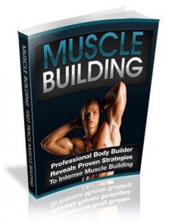 Muscle Building Plr Ebook