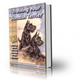 Training Your Scottish Terrier MRR Ebook 
