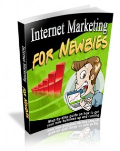 Internet Marketing For Newbies Mrr Ebook