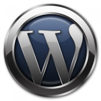 WordPress 101 Video Course PLR Video