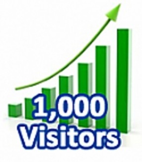 1,000 Visitors In One Month MRR Ebook