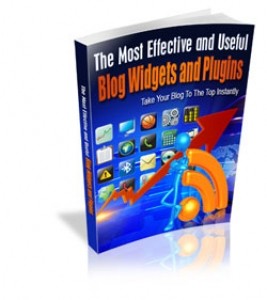 The Most Effective And Useful Blog Widgets And Plugins Mrr Ebook