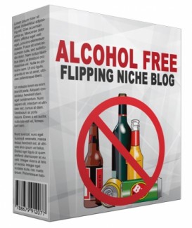 Alcohol Free Flipping Niche Blog Personal Use Template With Video